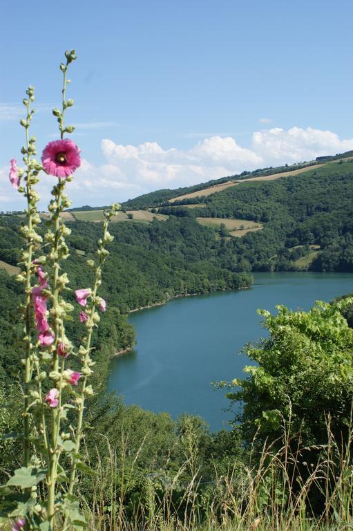 Les Hotes Du Lac, Chambres Et Tables D'Hotes Mandailles  Екстер'єр фото